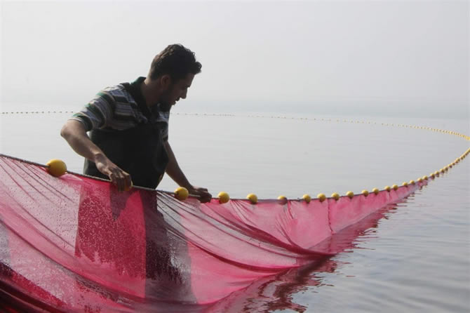 15-008.jpg 15-008.jpg