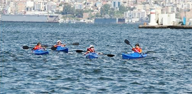 2-ic-kano.jpg 2-ic-kano.jpg