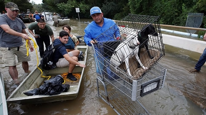 2-ic-teksas.jpg 2-ic-teksas.jpg