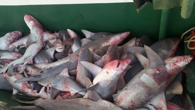 20150916aw527617_02.jpg 20150916aw527617_02.jpg