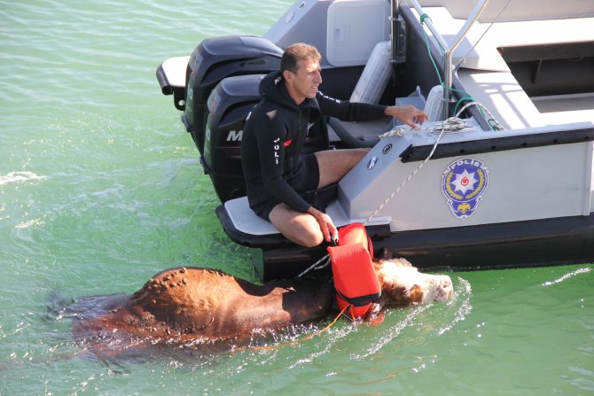 20150917aw527941_01.jpg 20150917aw527941_01.jpg