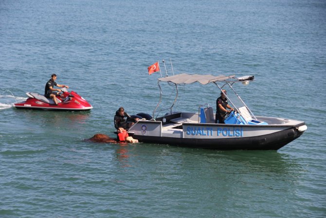 20150917aw527941_02.jpg 20150917aw527941_02.jpg