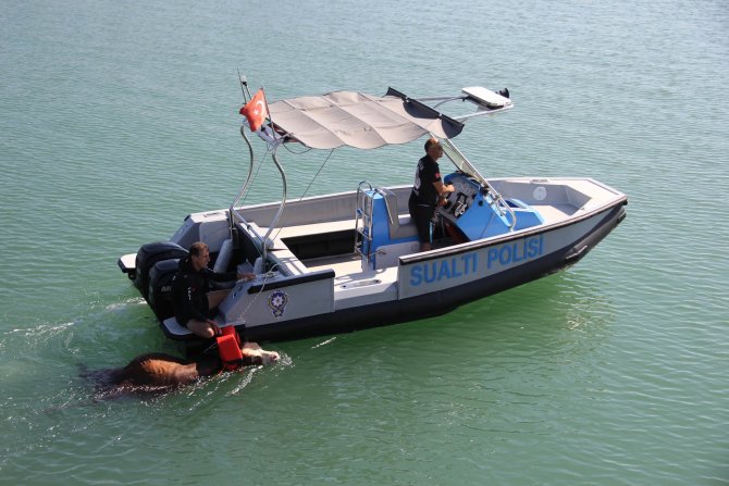 20150917aw527941_03.jpg 20150917aw527941_03.jpg