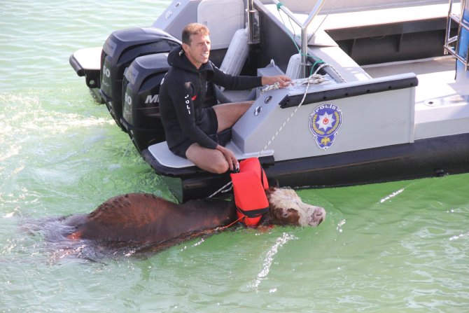 20150917aw527941_04.jpg 20150917aw527941_04.jpg