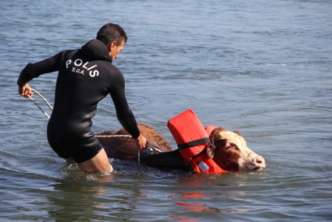 20150917aw527941_05.jpg 20150917aw527941_05.jpg