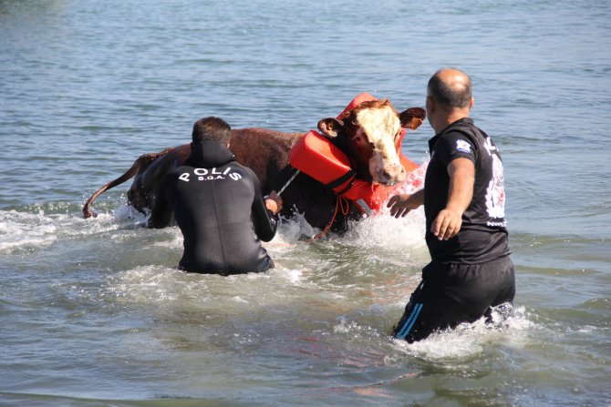 20150917aw527941_06.jpg 20150917aw527941_06.jpg