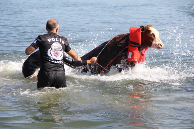 20150917aw527941_07.jpg 20150917aw527941_07.jpg