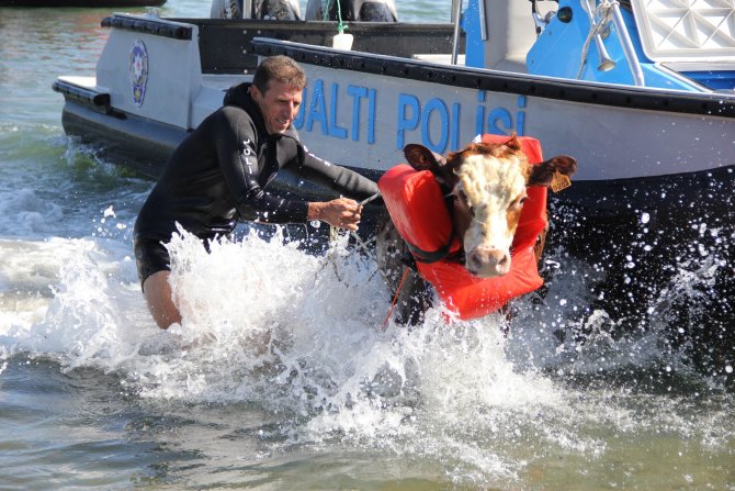 20150917aw527941_08.jpg 20150917aw527941_08.jpg