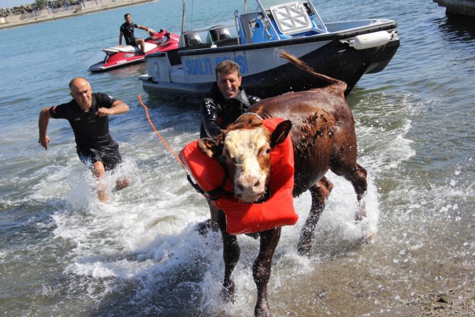 20150917aw527941_09.jpg 20150917aw527941_09.jpg