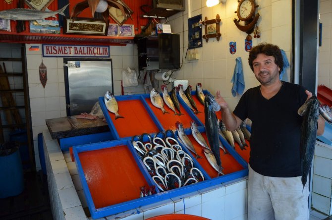 20150917aw528192_01.jpg 20150917aw528192_01.jpg