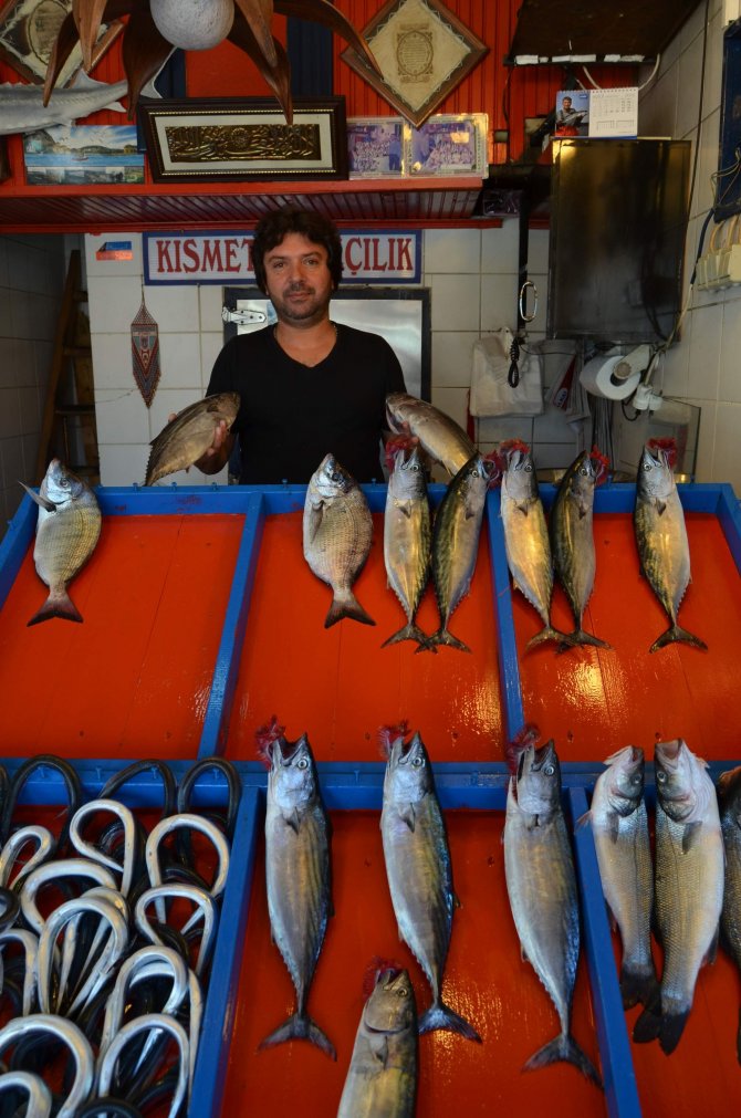 20150917aw528192_02.jpg 20150917aw528192_02.jpg