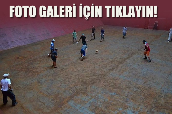 244_1.jpg
