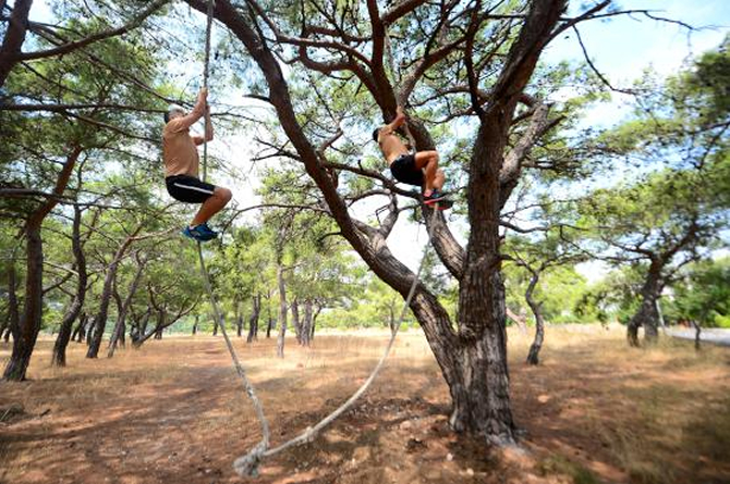 3-ic-d.jpg 3-ic-d.jpg