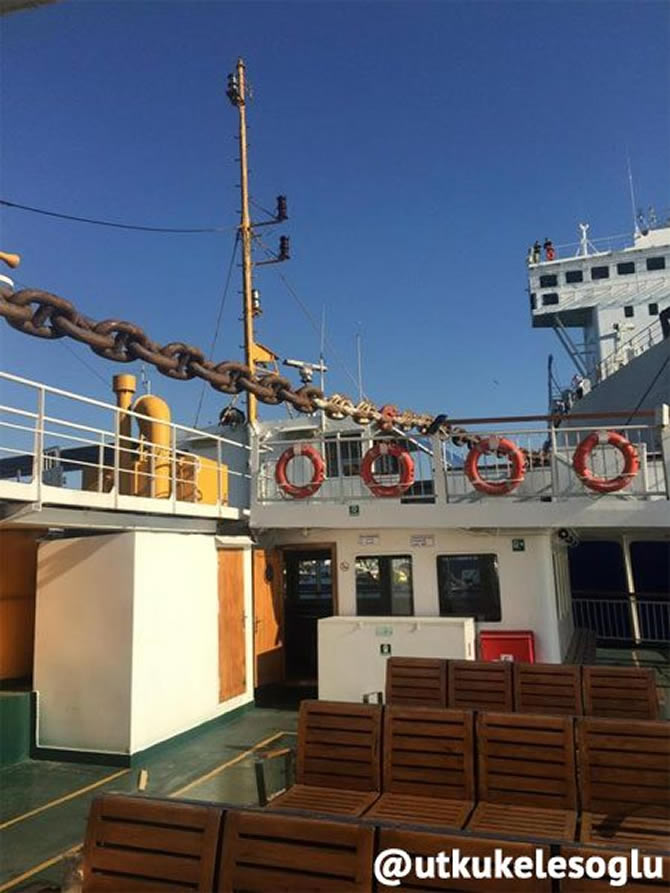 31119179.jpg 31119179.jpg