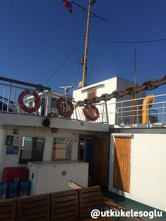 31119197.jpg 31119197.jpg