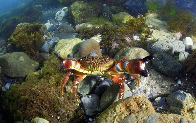 32-003.jpg 32-003.jpg