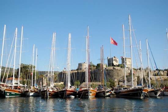 4.20111031173210.jpg 4.20111031173210.jpg