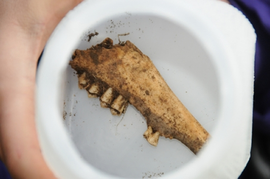 4.20111115211229.jpg 4.20111115211229.jpg