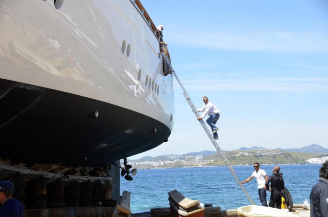 aa_picture_20150424_5138508_web.jpg aa_picture_20150424_5138508_web.jpg