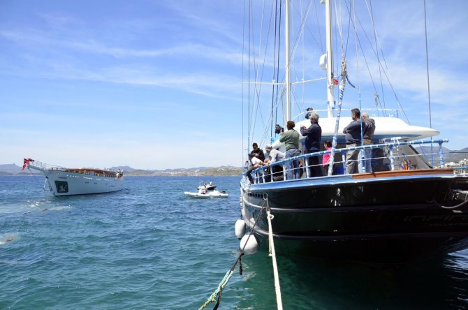 aa_picture_20150424_5138515_web.jpg aa_picture_20150424_5138515_web.jpg