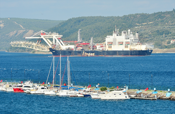 acudia.jpg acudia.jpg