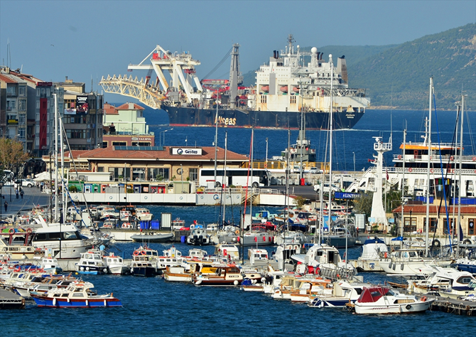 acudia2.jpg acudia2.jpg