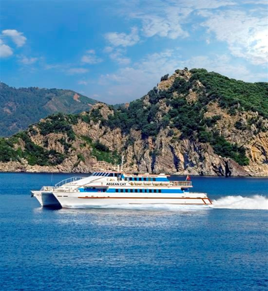 aegean-cat.jpg