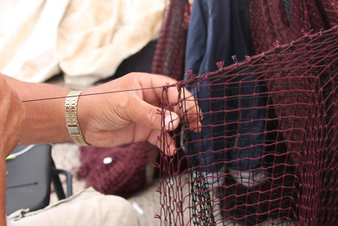 ag-002.jpg ag-002.jpg