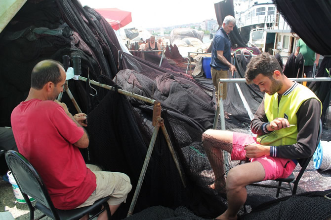 ag1-003.jpg ag1-003.jpg