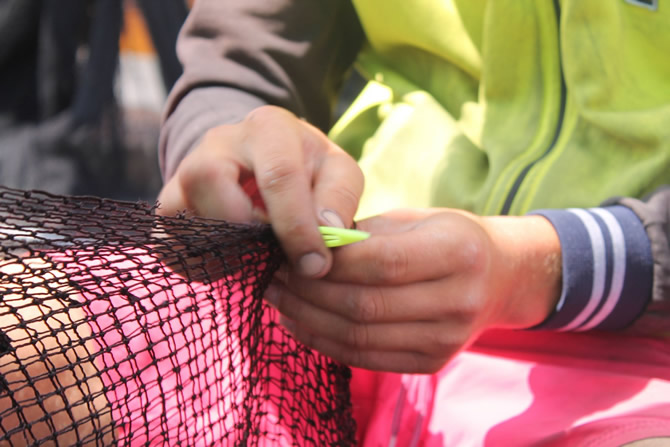 ag2-003.jpg ag2-003.jpg