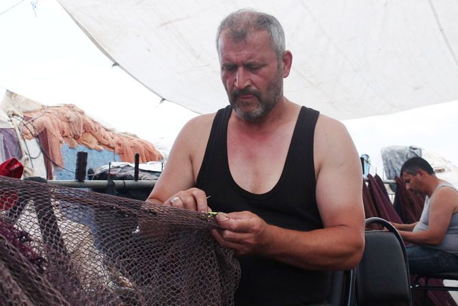 ag3-003.jpg ag3-003.jpg