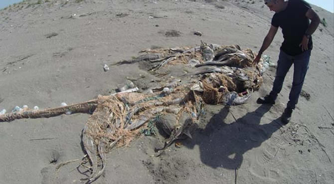 ag3-005.jpg ag3-005.jpg