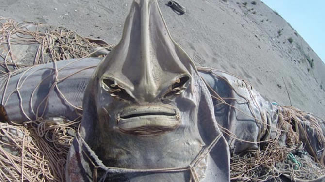 ag4-003.jpg ag4-003.jpg