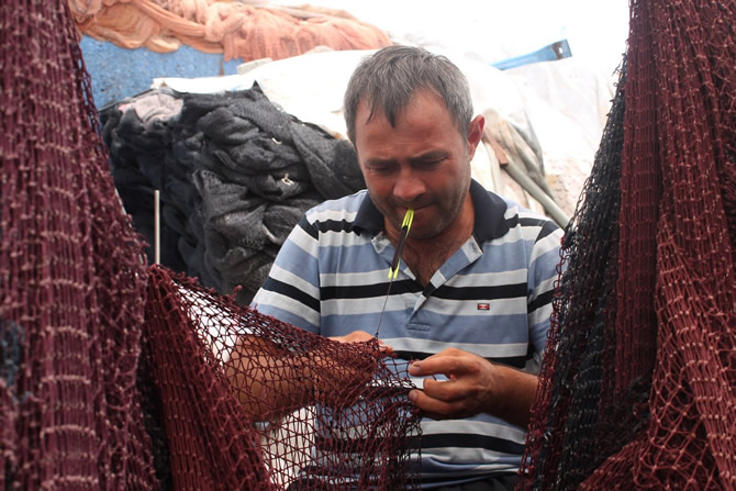 ag5-001.jpg ag5-001.jpg