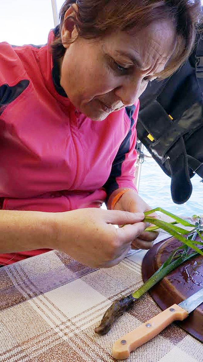 ahsen_hoca.jpg ahsen_hoca.jpg