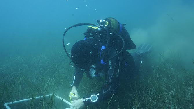 ahsen_hoca3.jpg ahsen_hoca3.jpg