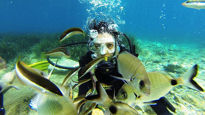 airbus2.jpg airbus2.jpg