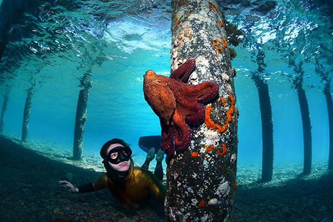 akabe1.jpg akabe1.jpg