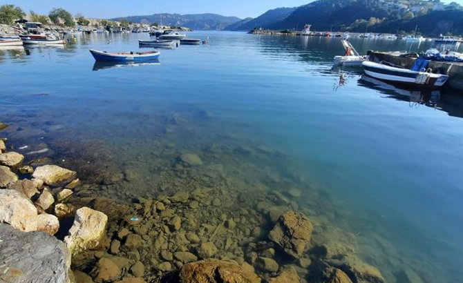 alapli-4.jpg
