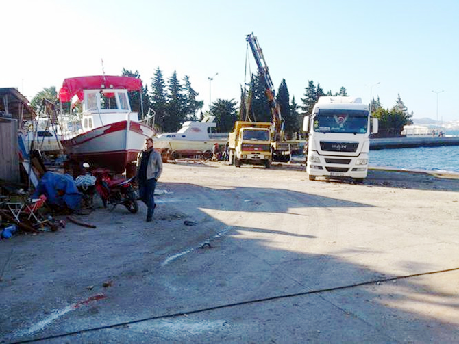 aliga3.jpg aliga3.jpg