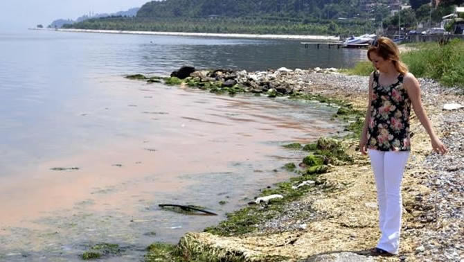 altinkemer2.jpg altinkemer2.jpg