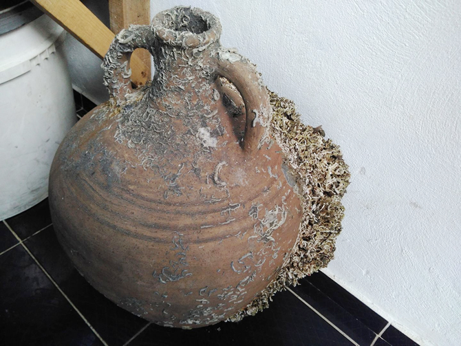 amfora.jpg amfora.jpg