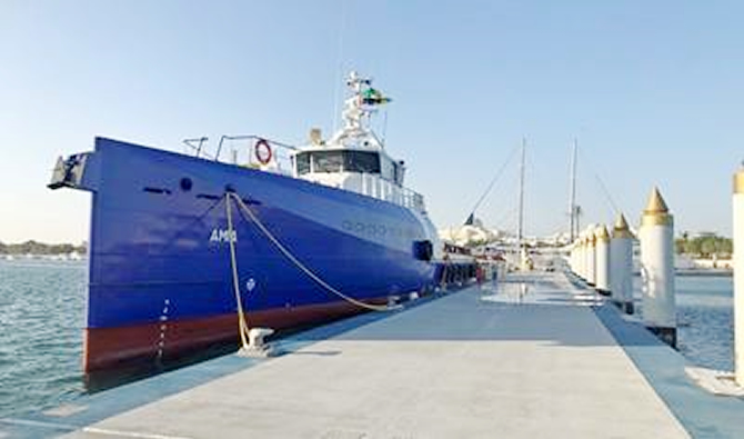 amia_2.jpg amia_2.jpg