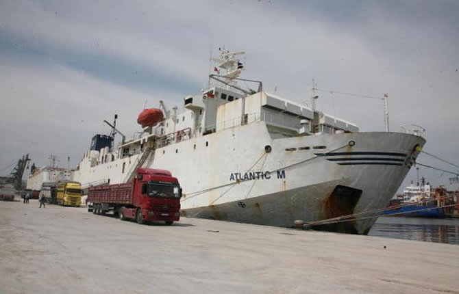 angus1.jpg angus1.jpg