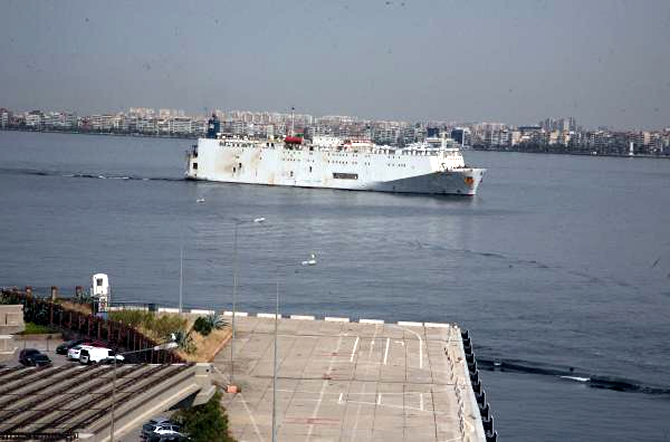 angus4.jpg angus4.jpg