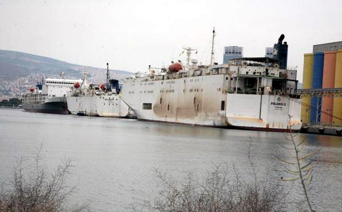 angus6.jpg angus6.jpg