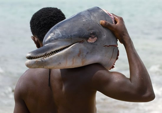 av28.jpg