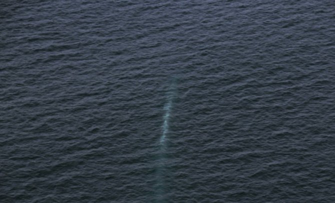 aw855017_15.jpg