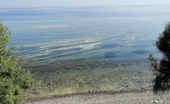 ayvacikta_denizin_rengi_degisti_5.jpg