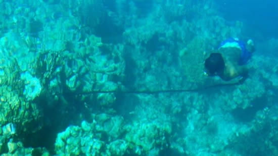 bajau6.jpg